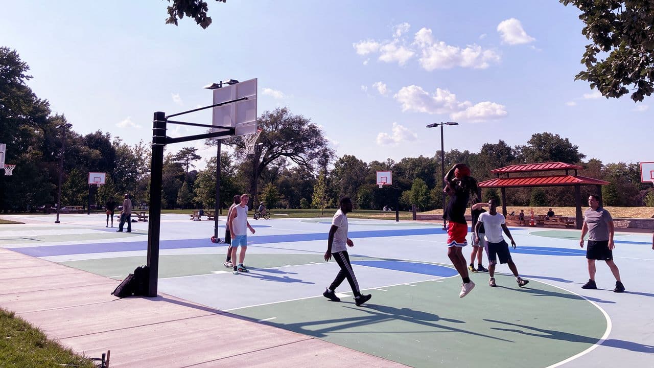 Basket Court